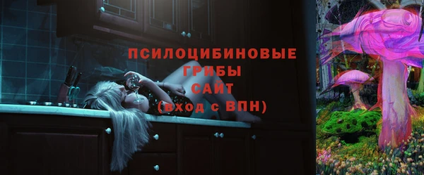 соль курить ск Каменка
