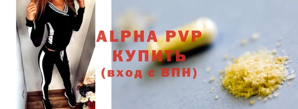спайс Инта