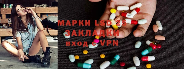 спайс Инта